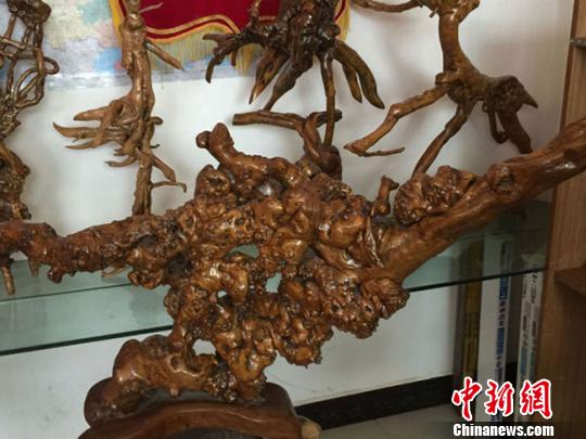 甘肅民間根雕藝人的堅(jiān)持：追求天然 夢(mèng)想辦展覽_油畫雕塑_